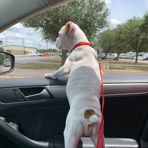 Meet your Posher, Clara